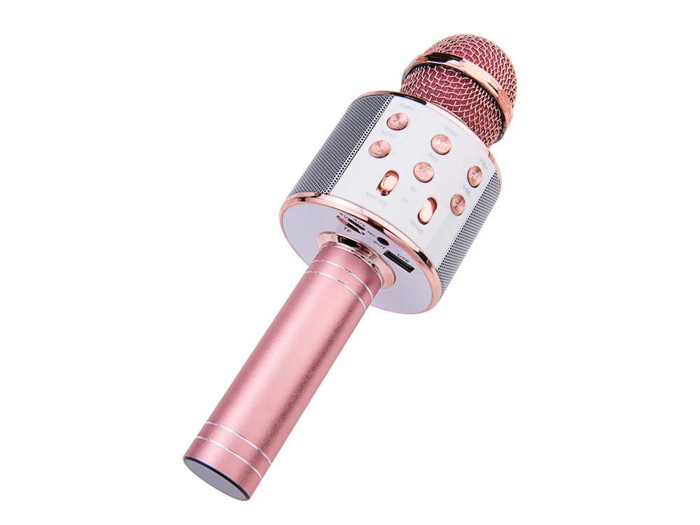 Micro karaoké Bluetooth avec fonction enregistrement et carte micro-SD - Or rose