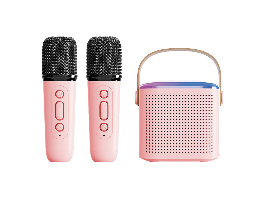 Mini Karaoké EKO Bluetooth 5.3 - Modèle Taylor - Coloris Rose