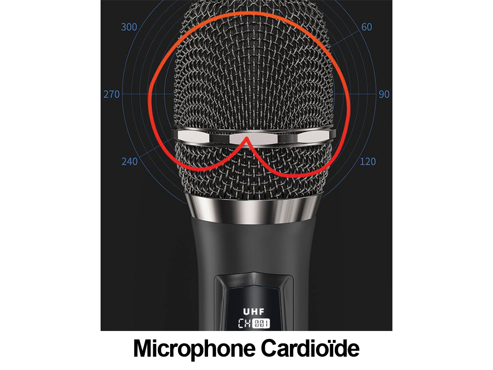 Microphones sans fil 192 KHz - Coloris Noir