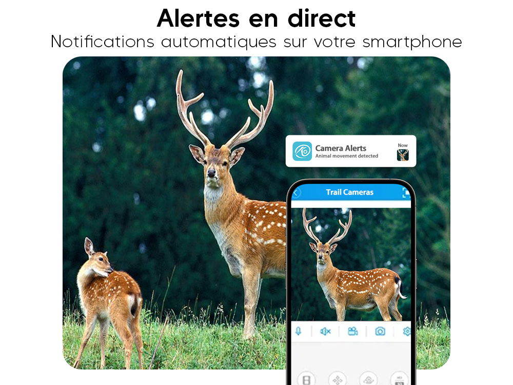 Caméra IP66 2K 4G solaire infrarouge