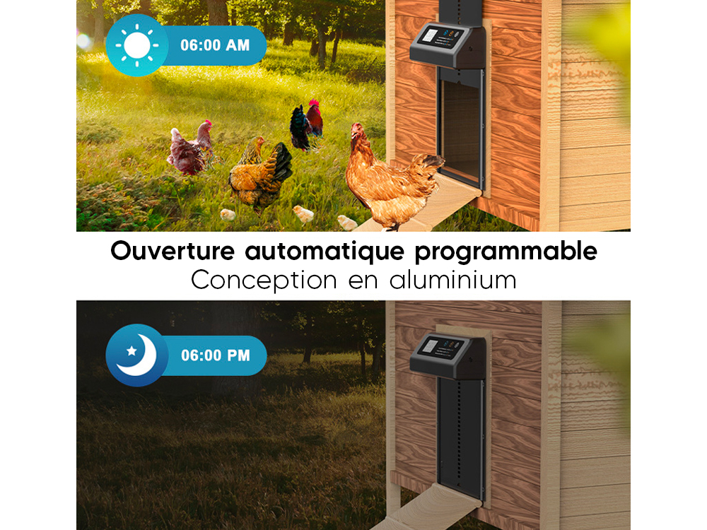 Porte automatique poulailler