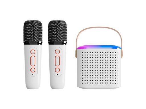 [FFE586] Mini Karaoké EKO Bluetooth 5.3 - Modèle Taylor (Blanc)